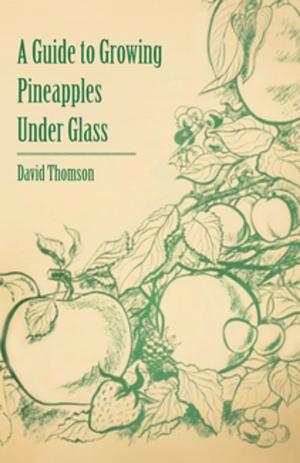 Cover of the book A Guide to Growing Pineapples under Glass by Anon
