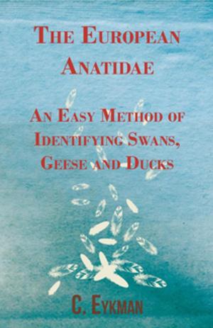 bigCover of the book The European Anatidae - An Easy Method of Identifying Swans, Geese and Ducks by 