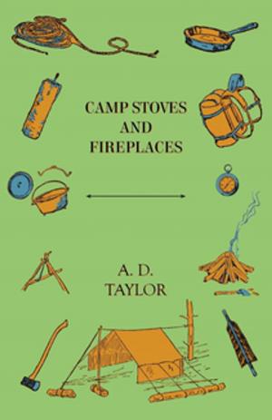 Cover of the book Camp Stoves and Fireplaces by Margaret J. Baker