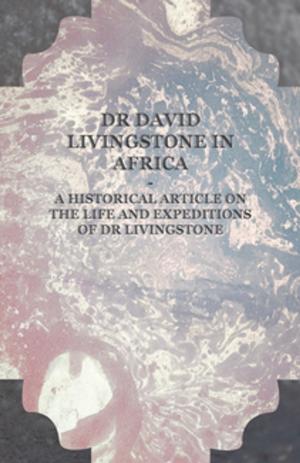 Book cover of Dr David Livingstone in Africa - A Historical Article on the Life and Expeditions of Dr Livingstone