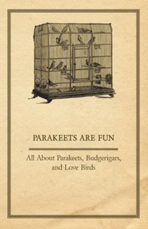 Book cover of Parakeets are Fun - All About Parakeets, Budgerigars, and Love Birds