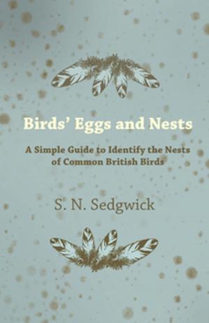 Cover of Birds' Eggs and Nests - A Simple Guide to Identify the Nests of Common British Birds