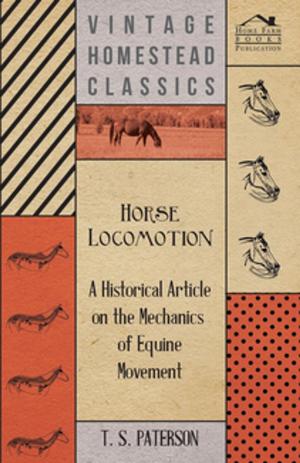 Book cover of Horse Locomotion - A Historical Article on the Mechanics of Equine Movement