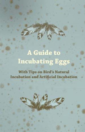 Book cover of A Guide to Incubating Eggs - With Tips on Bird's Natural Incubation and Artificial Incubation