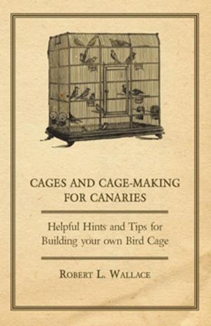 Cover of the book Cages and Cage-Making for Canaries - Helpful Hints and Tips for Building your own Bird Cage by Johannes Brahms