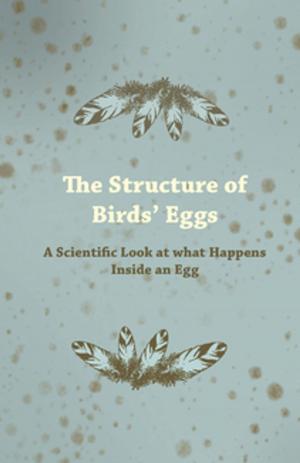 Cover of the book The Structure of Birds' Eggs - A Scientific Look at what Happens Inside an Egg by Henry White Warren