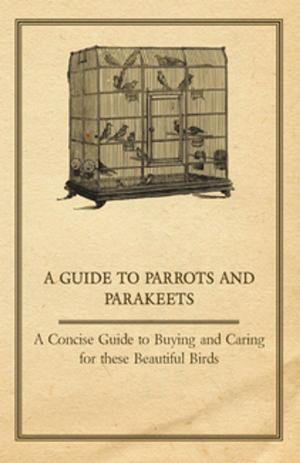 Book cover of A Guide to Parrots and Parakeets - A Concise Guide to Buying and Caring for These Beautiful Birds