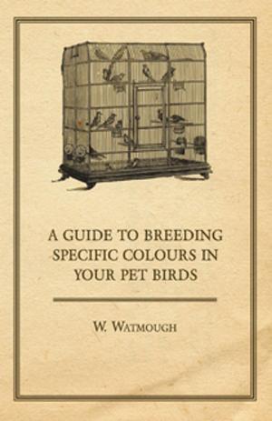 Cover of the book A Guide to Breeding Specific Colours in Your Pet Birds by Wolfgang Amadeus Mozart