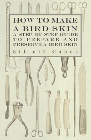 Book cover of How to Make a Bird Skin - A Step by Step Guide to Prepare and Preserve a Bird Skin