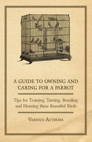 bigCover of the book A Guide to Owning and Caring for a Parrot - Tips for Training, Taming, Breeding and Housing these Beautiful Birds by 