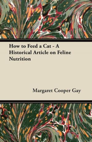Cover of the book How to Feed a Cat - A Historical Article on Feline Nutrition by Marcus Woodward