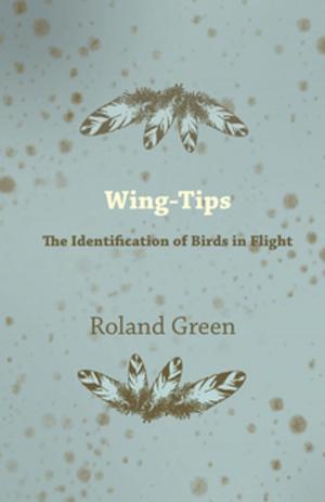 Cover of the book Wing-Tips - The Identification of Birds in Flight by James H. Schmitz