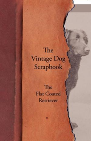 Cover of the book The Vintage Dog Scrapbook - The Flat Coated Retriever by Monica M. Stanley