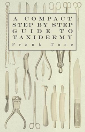 Cover of the book A Compact Step by Step Guide to Taxidermy by Thomas Stuart
