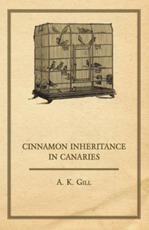 Cover of the book Cinnamon Inheritance in Canaries by Anon.