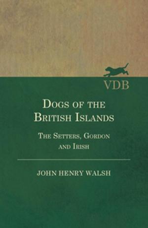 Cover of the book Dogs of the British Islands - The Setters, Gordon and Irish by Laurence Hutton