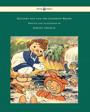 Book cover of Raggedy Ann and the Laughing Brook - Illustrated by Johnny Gruelle