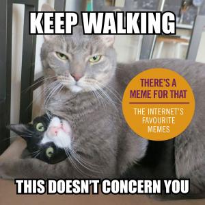 Cover of the book Keep Walking, This Doesn’t Concern You by Nick Trout