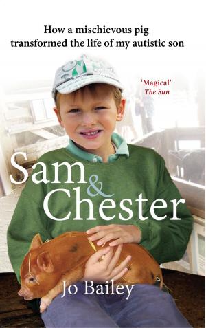 Cover of the book Sam and Chester by Julia Widdows