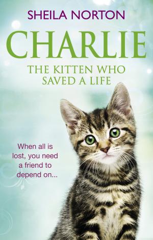 Cover of the book Charlie the Kitten Who Saved A Life by Sir Richard Branson