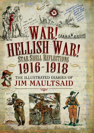 Cover of the book War! Hellish War! Star Shell Reflections 1916–1918 by Chris Northcott