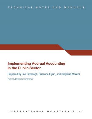 Cover of the book Guide to Implementing Accrual Accounting in the Public Sector by International Monetary Fund. Research Dept.