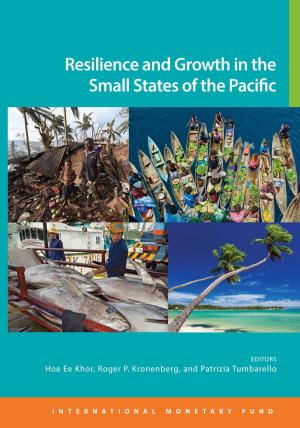 Cover of the book Resilience and Growth in the Small States of the Pacific by Sun-Jung Choi