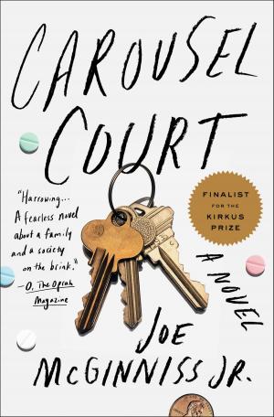 Cover of the book Carousel Court by Pete Hautman