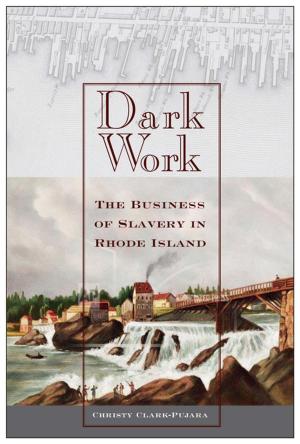 Cover of the book Dark Work by Kristen Lewis, Sarah Burd-Sharps