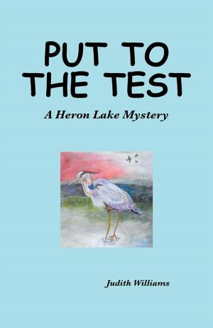 Cover of the book Put to the Test by Anne David