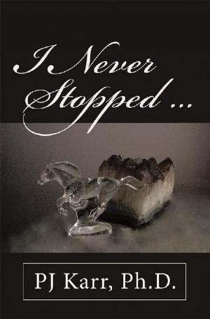 Cover of the book I Never Stopped . . . by Viola Sawyer Lunderville