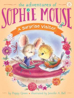 Cover of the book A Surprise Visitor by Callie Barkley