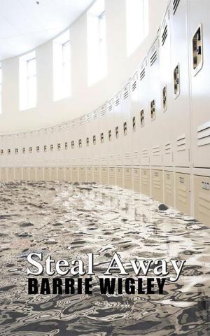 bigCover of the book Steal Away by 