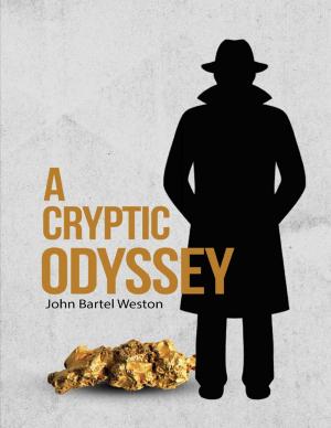 Book cover of A Cryptic Odyssey