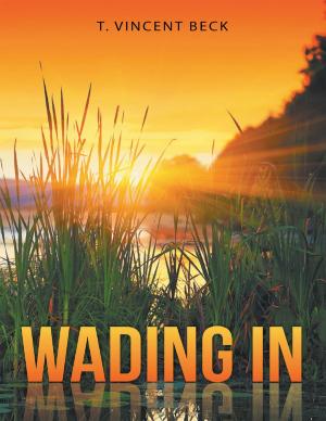 bigCover of the book Wading In by 