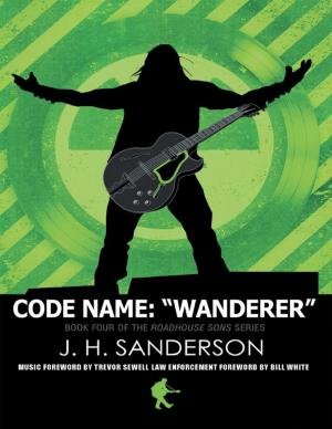 Cover of the book Code Name: Wanderer by Benedetta Montesi