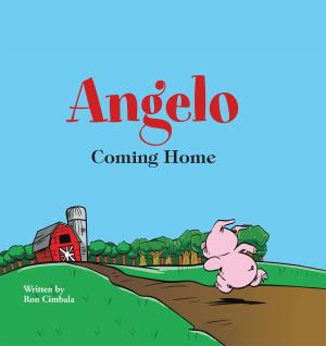 Cover of the book Angelo by Davd Soul