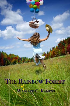 Book cover of The Rainbow Forest