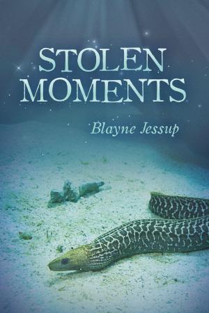 Cover of the book Stolen Moments by Debra G. Weinstock