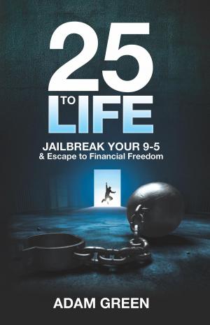 Book cover of 25 to Life