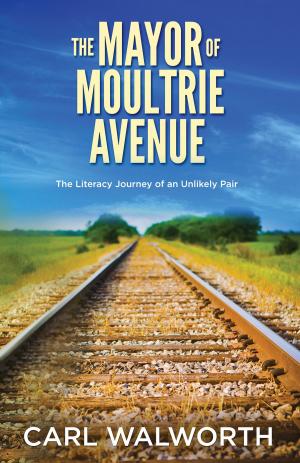 Cover of the book The Mayor of Moultrie Avenue by Martin Probst