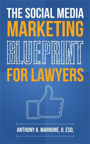 Cover of the book The Social Media Marketing Blueprint for Lawyers by Terry Meyer