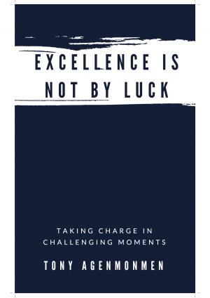 Book cover of EXCELLENCE IS NOT BY LUCK