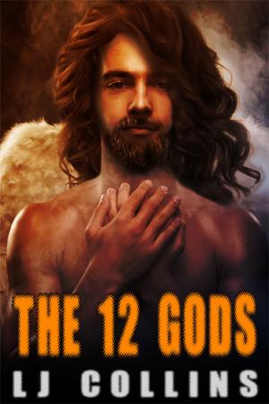 Cover of the book The 12 Gods by Ravon Silvius