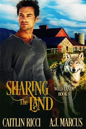 Cover of the book Sharing the Land by SA Welsh