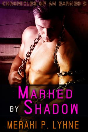 Book cover of Marked by Shadow