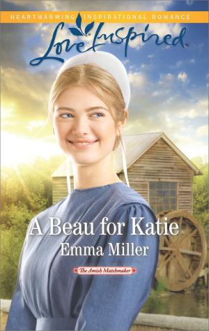 Cover of the book A Beau for Katie by Terry McLaughlin