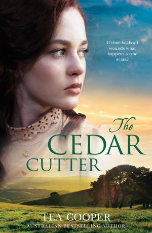 Cover of the book The Cedar Cutter by Mary Brock Jones