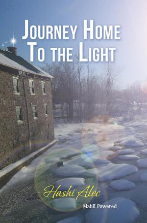 Cover of the book Journey Home to the Light by Chad Chisholm