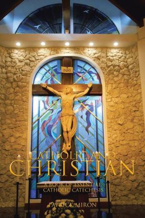 Cover of the book Catholic & Christian by Abigail Hawkins